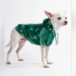 Velvet Dog Hoodie - Skydye Emerald Green